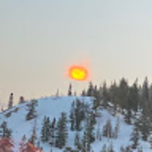 Meet your Posher, Ethan